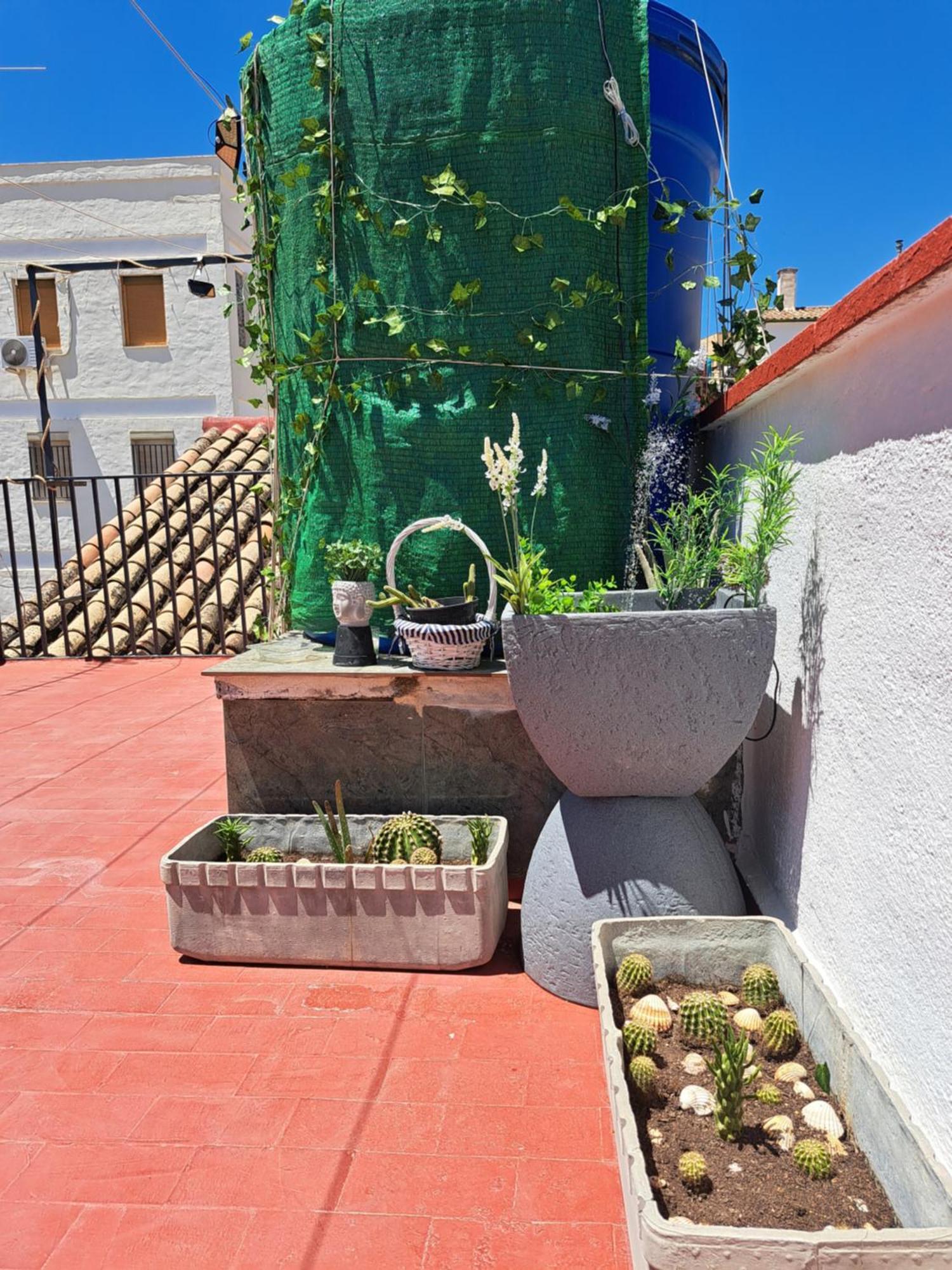 Casa Paloma Apartment Jaén Exterior foto